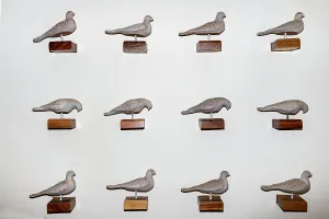 Interior Decoration Ideas Prints: Doves decorating wall