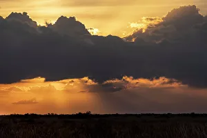 Nature Reserves In USA Prints: Dramatic sunset over Everglades in Florida