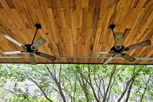 Architectural Detail Prints: Detail of fans on a ceiling