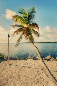 Islamorada Florida Print