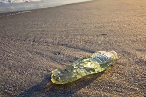 Plastic Bottle Print on Beach Landscape