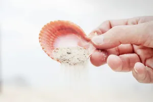 Seashell Sand Pouring Print