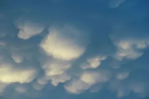 Mammatus Clouds Prints: Puffy clouds