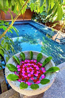 Calm And Peaceful Atmosphere Prints: Serene pool scene