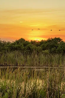 Lake Sunset Art Print