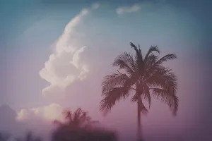 Tropical Palm Tree Print with Clouds