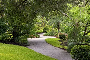 Japanese Garden Scenery Prints: Winding garden path