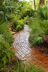 Palm Frond Photography Prints: Winding path in garden