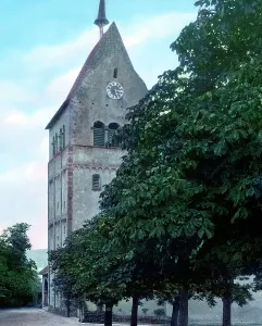 Bodensee Print: Scenic View of Mittelzell Tower