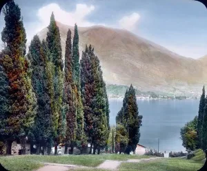Cypress Trees In Italy Prints: Der Comer See