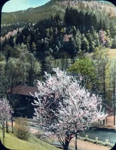 Germany Landscape Photographs Prints: Deutscher Abend