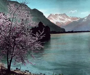 Chillon Castle Switzerland Prints: Gotthard Simplon Bahn