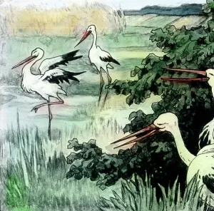 Carl Simon Illustration Prints: Marchen Märchen