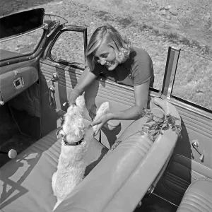 Freizeit Print: Young Woman and Puppy in an Open Car, Germany 1930s