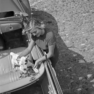 Freizeit Print: Young Woman with Puppy in an Open Car, 1930s Germany
