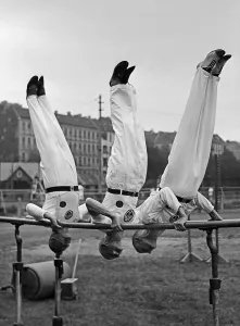 Senior Men Gymnastics Print, Germany 1930s