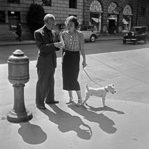 München Fox Terrier Print, 1930s