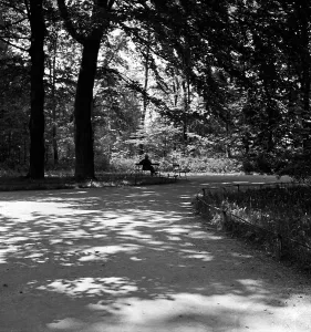 Weimar Park Bench Print, 1930s Germany