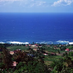 Barbados Print: Colorful East Coast Landscape