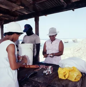 Barbados Print: Morning Fish Market Scene from Bridgetown