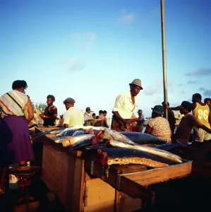 Barbados Fish Market Print, 1985