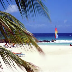 Barbados Beach Print from Hilton Hotel