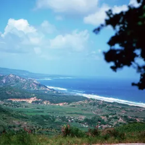 Barbados An der Ostküste von Barbados Print