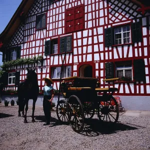 Bodensee Horse-Drawn Carriage Print