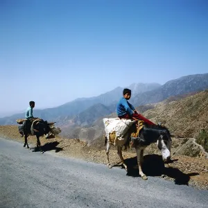 Marokko Print: Young Boys on Donkeys in the Atlas Mountains