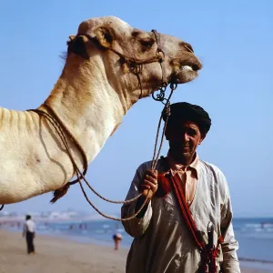Marokko Print: Camel and Man on Agadir Beach