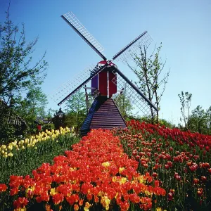München Mühle Print circa 1985