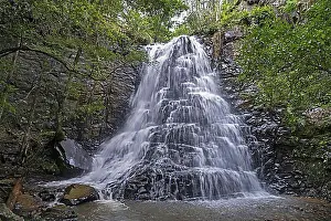 Deserted Village Landscape Prints: 39 Steps Falls, waterfall in Hogsback