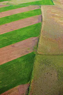 Colorful Agricultural Scene Prints: An aerial view of patchwork of fields, on the plains of eastern Colorado