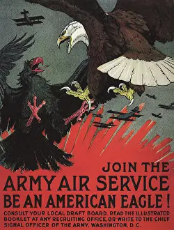 Military Aircraft History Prints: Be An American Eagle!