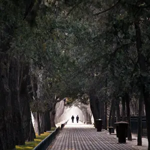 Prints of Avenue November Prints: Avenue Avenue Print from SuperStock