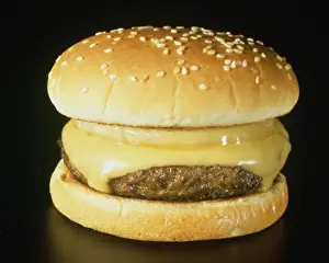 Fast Food Prints: Close-up of a cheeseburger