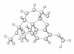 Prints of Codeine, molecular model May Prints: Codeine Print, Molecular Model