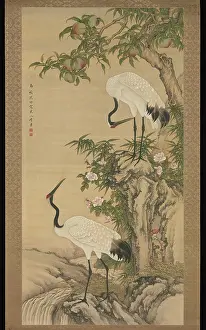 Prints of Cranes, Peach Tree, and Chinese Roses early 18th century After Shen Quan Chinese Because of their association with immortals, both cranes and peaches are symbolic of longevity August Prints: Print of Cranes, Peach Tree, and Chinese Roses