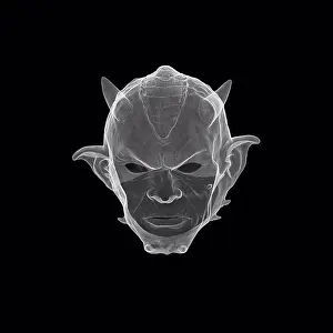 Prints of Devil mask, X-ray Devil Ray Prints: Devil Mask Print X-ray