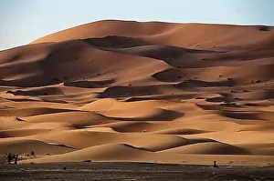 Morocco Desert Landscapes Prints: Dramatic dune shapes characterised by shadow and light