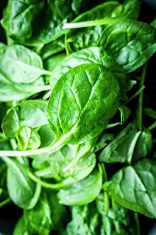 Fresh Spinach Prints: Fresh spinach