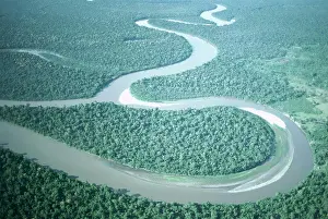 2005 Prints: Amazon River Print - High Angle View