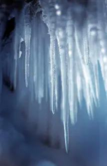 Close Up Nature Images Prints: Icicle