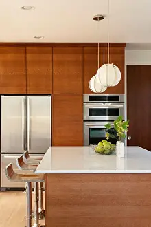 American Modern Architecture Prints: Interior of Modern Kitchen