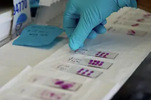 Science Lab Equipment Prints: Lab tests