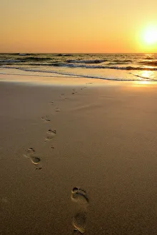 Mabibi Seascape Print