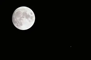 March Prints: Moon Moon Print from SuperStock