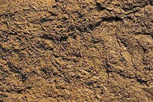 Empty Rock Formations Prints: Natural rock or Stone surface as background texture