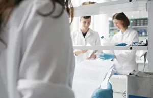 Biotechnology Researcher Prints: People co-working in lab