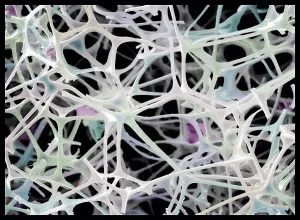 Scanning Electron Microscope Image Prints: Micro-structure of Magic Eraser material, SEM